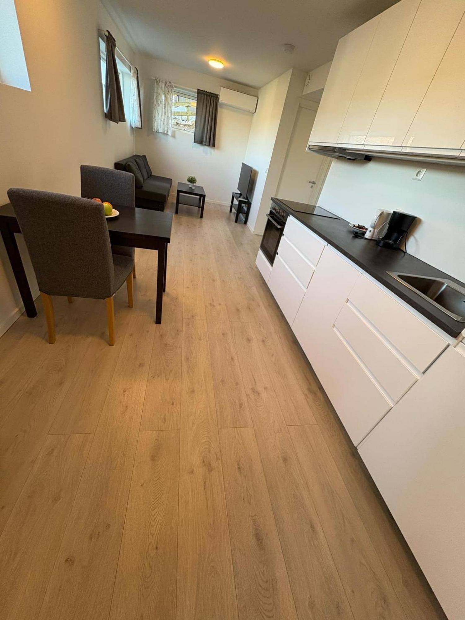 Temis Apartment, Private New 1 Bed Room And 1 Living Room With Sofa Bad And Lagre Kitchen, Share With Nobody Oslo Ngoại thất bức ảnh